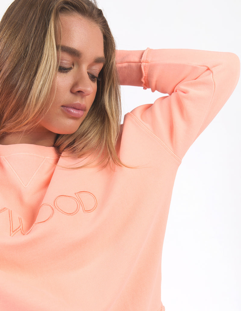 Woman wearing a peach-colored sweatshirt with 'FOXWOOD' branding on a white background
Simplified Crew Neon Peach