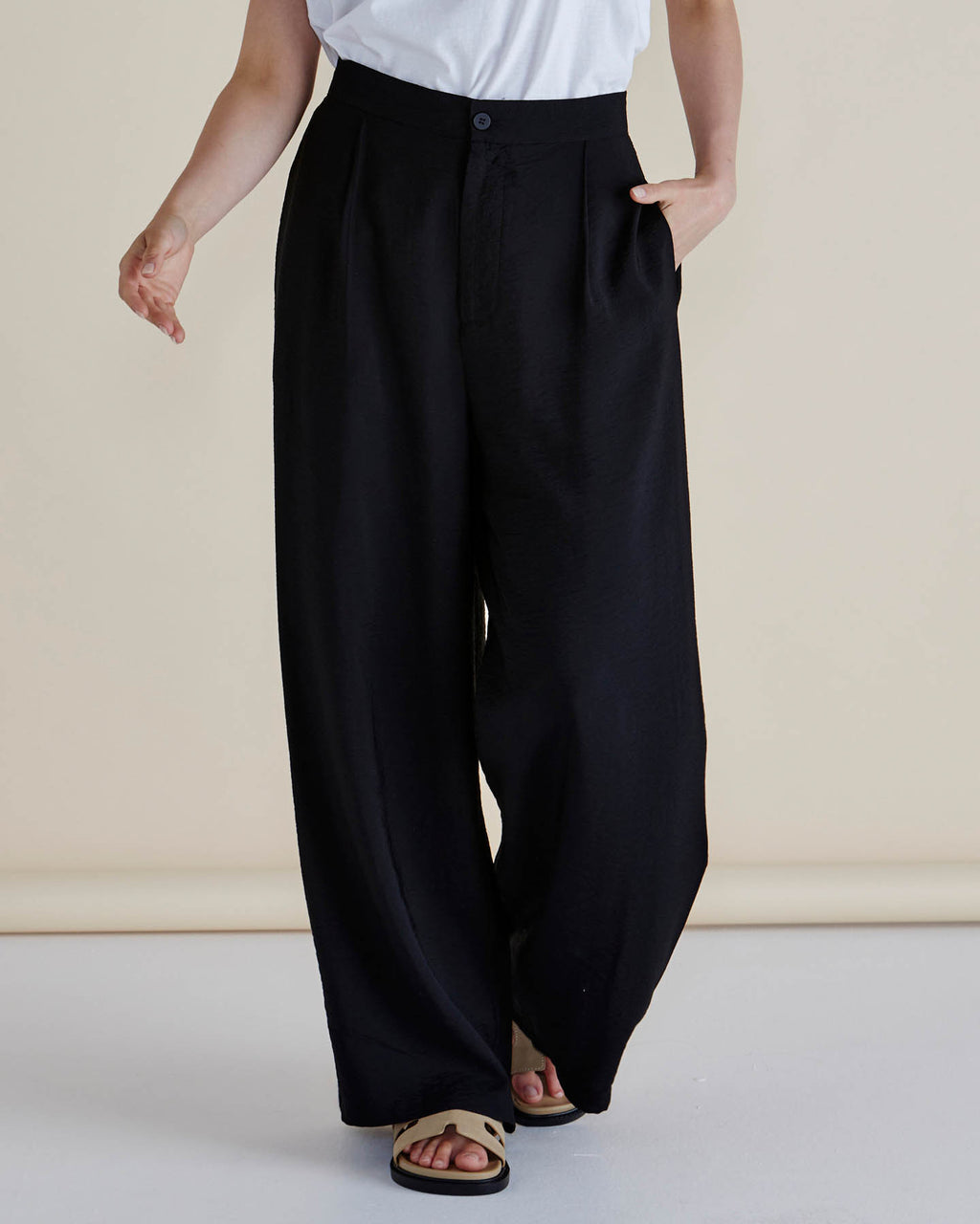 Person wearing black wide-leg pants and a white top on a plain background
Zander Pants Black