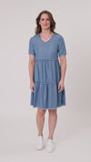 Beatrice Dress Chambray